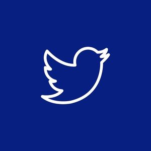 A graphic of the Twitter logo, a small bird in flight