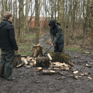 Joel chopping wood in a copse while the farm manager watches. He's wearing dark farm waterproofs and has just chopped a log clean in half.